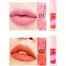 HANDAIYAN 6 Colors Moisturizer Lip Tint Waterproof Dual-use Non-Stick Cup Natural Lips Cheeks Liquid Lipstick Blush Velvet Matte Lip Gloss image