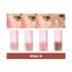 HANDAIYAN Liquid Blush Mousse Set of 4 Pcs-Set B image