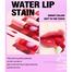  Handaiyan Long Lasting Velvet Lips Tint Liquid Lip2 In 1 Blusher image