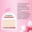 HANDAIYAN Matte Lipstick Lip Line Pencil Set-12pcs image