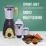 HAVELLS SPRINT 500W 3in1 Mixer Grinder image