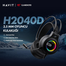 HAVIT H2040d RGB Gaming Headphone image