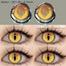 HAlloween Exclusive Spirite Eye Color Contact Lens image