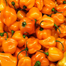 Habanero Chili Seeds Re-Pack - 5Pcs image