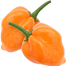 Habanero Chili Seeds Re-Pack - 5Pcs image