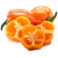 Habanero Chili Seeds Re-Pack - 5Pcs image