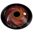 Halloween Cosplay Diablo Universe Color Contact Lenses image