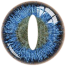Halloween Cosplay Sherlock Homes Colour Contact Lens image