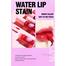 Handaiyan 2 In 1 Blusher And Lip Water Tint Makeup, Matte Velvet Watery Tint Lip Gloss- 05 image