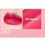 Handaiyan 2 In 1 Blusher And Lip Water Tint Makeup, Matte Velvet Watery Tint Lip Gloss- 05 image