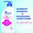 Head And Shoulders 2 - in - 1 Cool Menthol Anti Dandruff Shampoo Conditioner for Women And Men, 650 ML image