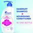 Head And Shoulders 2 - in - 1 Cool Menthol Anti Dandruff Shampoo Conditioner for Women And Men, 650 ML image