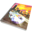 Hearts China 3D Notebook 240 image