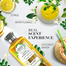 Herbal Essences Golden Moringa Oil Smooth Shampoo 400 ml image