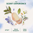 Herbal Essences Micellar Water And Blue Ginger Shampoo 400ml image