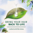 Herbal Essences Micellar Water And Blue Ginger Shampoo 400ml image