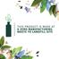 Herbal Essences Revitalise Blue Ginger Conditioner 400 ml (UAE) image