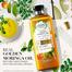 Herbal Essences Smooth Golden Moringa Oil Shampoo 400 ml (UAE) - 139700560 image