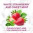 Herbal Essences White Strawberry And Sweet Mint CONDITIONER- For Cleansing and Volume - No Paraben No Colourants 400 ML image