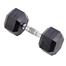 Hex Dumbbell 7.5 Kg - 1 Pcs image