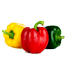 High Quality Capsicum Seeds Re-Pack - 10pcs image