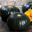 High Yield Japanese Pumpkin Seeds Black - 10 Seed image