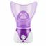 Home Spa Face /Nose Vapouriser Steamer image