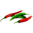 Hybrid All Season Chili Re-Pack (Indian) Seeds - 0.1gm image