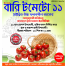 Hybrid BARI-11 Tomato Seeds Re-Pack 1gm image