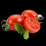 Hybrid BARI-11 Tomato Seeds Re-Pack 1gm image