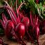 Hybrid Indian Beet Root Seeds Intact Pack image