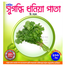 Hybrid Morocco Dhoniya Pata Seed image