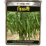 Hybrid Summer Chili BIJLI Intact Pack image