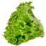 Hybrid Winter Lettuce Imported From China Intact Pack 500 Seeds image