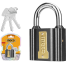 INGCO DIPL0601 Iron Padlock image