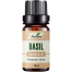 Ikebana Basil Essential Oil (20 ml) image