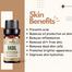 Ikebana Basil Essential Oil (20 ml) image