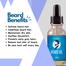 Ikebana Beard Oil (30 ml) image