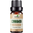 Ikebana Cinnamon Essential Oil (20 ml) image