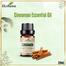 Ikebana Cinnamon Essential Oil (20 ml) image