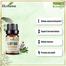 Ikebana Clary Sage Essential Oil (20 ml) image