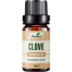 Ikebana Clove Essential Oil (20 ml) image