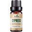 Ikebana Cypress Essential Oil (20 ml) image