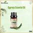 Ikebana Cypress Essential Oil (20 ml) image