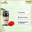 Ikebana Geranium Essential Oil (20 ml) image