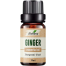 Ikebana Ginger Essential Oil (20 ml) image