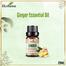 Ikebana Ginger Essential Oil (20 ml) image