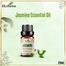 Ikebana Jasmine Essential Oil (20 ml) image