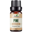 Ikebana Pine Essential Oil (20 ml) image