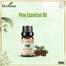 Ikebana Pine Essential Oil (20 ml) image